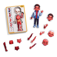 Дерев'яний пазл-вкладиш "Анатомія людини - хлопчик-3" (ПСД262) PSD262 будова тіла