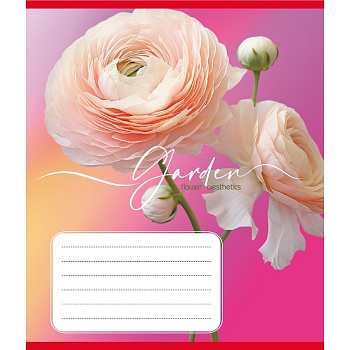 Зошит учнівський "Естетика" 024-550443K-4 в клітинку, 24 аркуші