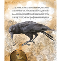 Дитяча книжка "Як зрозуміти тварин" 452155 серія "Відкривай"