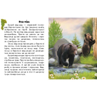 Читаю про Україну по складах "Тварини гір" 366021 з кольоровими ілюстраціями