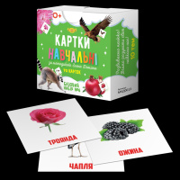 Картки навчальні Глена Домана №6 Майстер MKD0013 укр