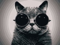 Картина за номерами. Art Craft "Кот Морфіус" 40 * 50 см 11607-AC