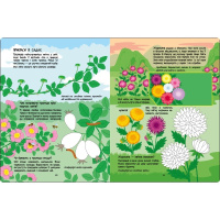 Розвиваючий зошит "Рожева книга про квіти" 15209 з наліпками