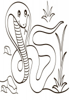 Дитяча водна розмальовка: Екзотичні тварини 734012, 8 сторінок