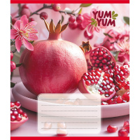 Зошит учнівський "Фрукти" 036-580143L-3 в лінію, 36 аркушів 