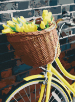 Картина за номерами. Art Craft "Жовтий настрій" 40 * 50 см 13112-AC