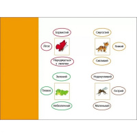 Розвиваючі зошити "Логічні вправи з колами Ейлера. Рівень 3" АРТ 20203 укр, 4-6 років