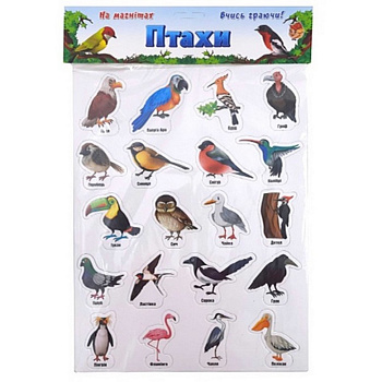 Набір магнітів "Птахи" 1311ATS