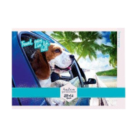 Альбом для малювання АМ-ГП-120-24 на спіралі