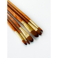 Набір професійних нейлонових пензликів BR650, 6 штук, форма FILBERT