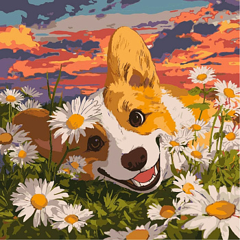 Картина за номерами "Коргі в ромашках" ©art_selena_ua KHO6798, 40х40 см