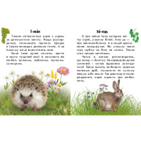 Читаю про Україну по складах "Тварини лісів" 366023 з кольоровими ілюстраціями