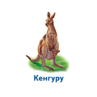 Настільна гра Парочки: Світ тварин 1392003, 6 ігор