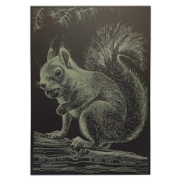 Гравюра А4 "Білка" ГрА4-1з економ варіант в пакеті 29,7х21 см