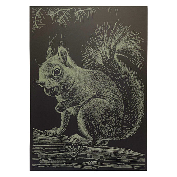 Гравюра А4 "Білка" ГрА4-1з економ варіант в пакеті 29,7х21 см