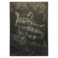 Гравюра А4 "Єнот" ГрА4-16з економ варіант в пакеті 29,7х21 см