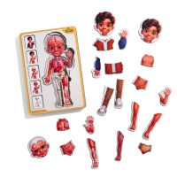 Дерев'яний пазл-вкладиш "Анатомія людини - хлопчик-2" (ПСД261) PSD261 будова тіла