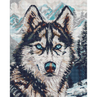 Алмазна мозаїка "Очі півночі" ©art_selena_ua AMO20041, 40х50 см