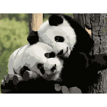 Картина за номерами "Щирі обійми" 504018-NC 40х50 см