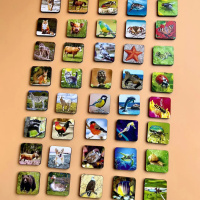 Настільна розвиваюча гра "Види тварин" Ubumblebees (ПСФ110) PSF110 комодик-сортер