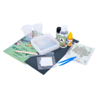 Дитячий набір для творчості "Сухоцвіт" FG231102005M, пінцет, фарба, застигаюча рідина