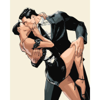 Картина за номерами "Поцілунок по той бік ночі" ©arttem_illustration 16142-АС 40х50 см