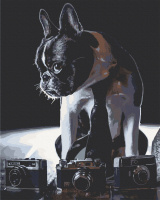 Картина за номерами. Art Craft Сором'язливий фотограф 40х50 см 11642-AC