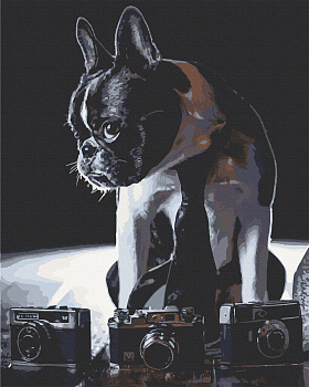 Картина за номерами. Art Craft Сором'язливий фотограф 40х50 см 11642-AC