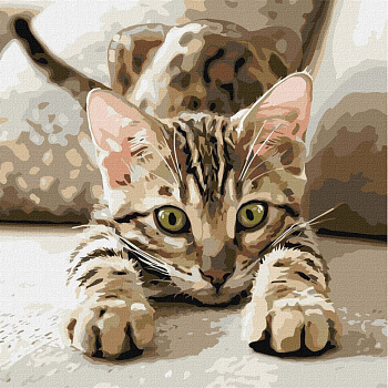 Картина за номерами "Грайливе кошеня" ©art_selena_ua KHO6877, 40х40 см