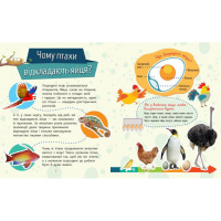 Навчальна книжка Чомусики "Тварини" 875008 запитання та відповіді