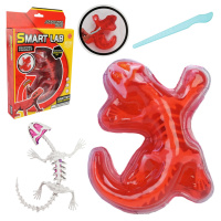 Дитячий лабораторнний набір Ящірка 803B, скелет, внутрішні органи