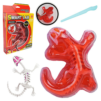 Дитячий лабораторнний набір Ящірка 803B, скелет, внутрішні органи
