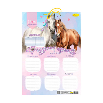 Ламінований розклад уроків АП-0802 формат А3 