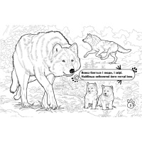 Дитяча розмальовка "Тварини у лісі" 583012, 16 сторінок