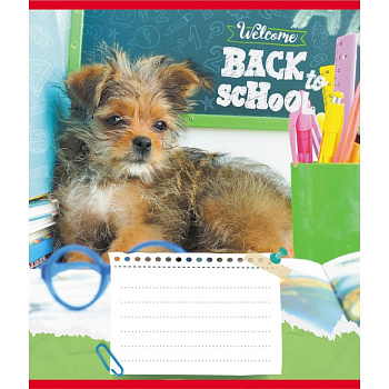 Зошит учнівський "Собака студент" 018-540178L-5 в лінію, 18 аркушів 