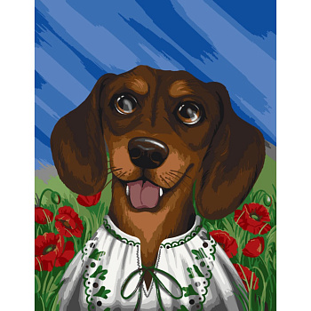 Картина за номерами "Вухастий патріот" ©pollypop92 11523-AC 40х50 см