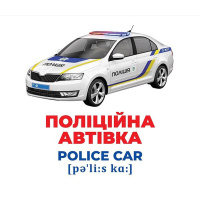 Набір розвиваючих карток Геній з пелюшок "Спецтранспорт" 10107198, 17 карток