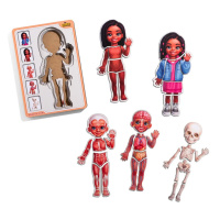 Дерев'яний пазл-вкладиш "Анатомія людини - дівчинка-3" (ПСД264) PSD264 будова тіла