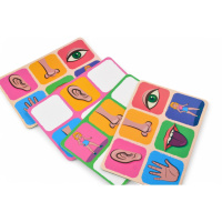 Дитяче лото "Органи чуття" 2279-UM 4 поля, 48 фішок