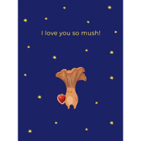 Листівка з конвертом Гриб СS-GS-003 