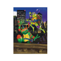 Пазл класичний Medium-S "TMNT. Донателло та Мікеланджело" 200529, 250 елементів                                