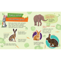 Навчальна книжка Чомусики "Тварини" 875008 запитання та відповіді
