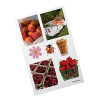 Дитячий стікерпак А6 Jun sun СS-VS-008 на вініловій основі