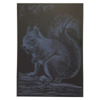 Гравюра А4 "Білка" ГрА4-1с економ варіант в пакеті 29,7х21 см