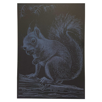 Гравюра А4 "Білка" ГрА4-1с економ варіант в пакеті 29,7х21 см