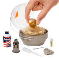 Ігровий набір для творчості "Створи динозавра" Miniverse 522546 серії "Jurassic World" 