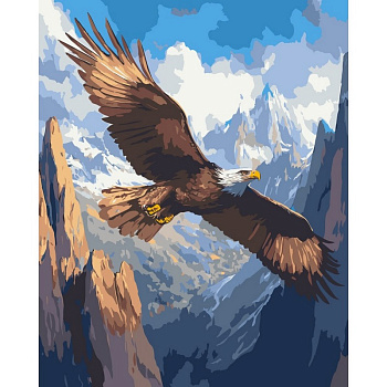 Картина за номерами "Політ над безмежжям" 11748-AC 40х50 см