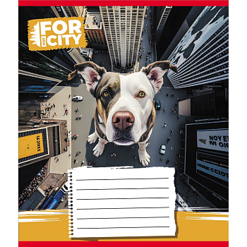 Зошит учнівський "Собака в місті" 024-560077L-3 в лінію, 24 аркуші 
