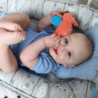 Вібропідвіска Морський коник МС 110604-01