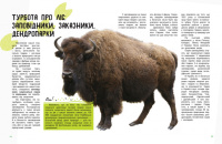 Дитяча книга " Світ і його таємниці: Життя лісу" 740002 укр. мовою